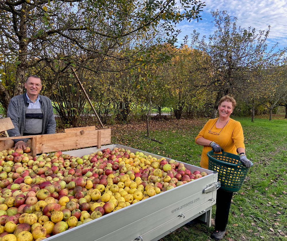 © Bio-Obsthof Holzmair Haindlfing